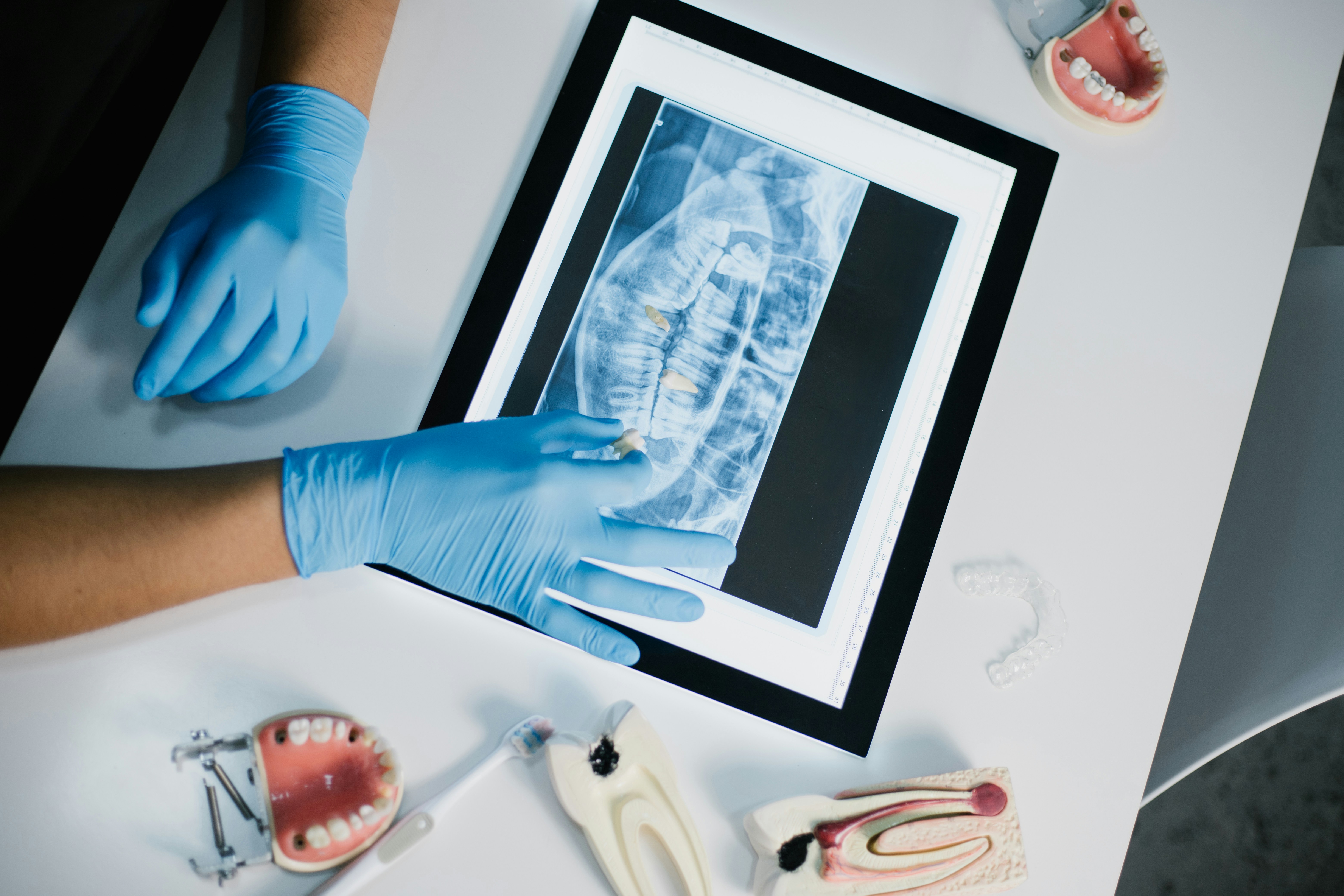 orthodontics reference frame 2