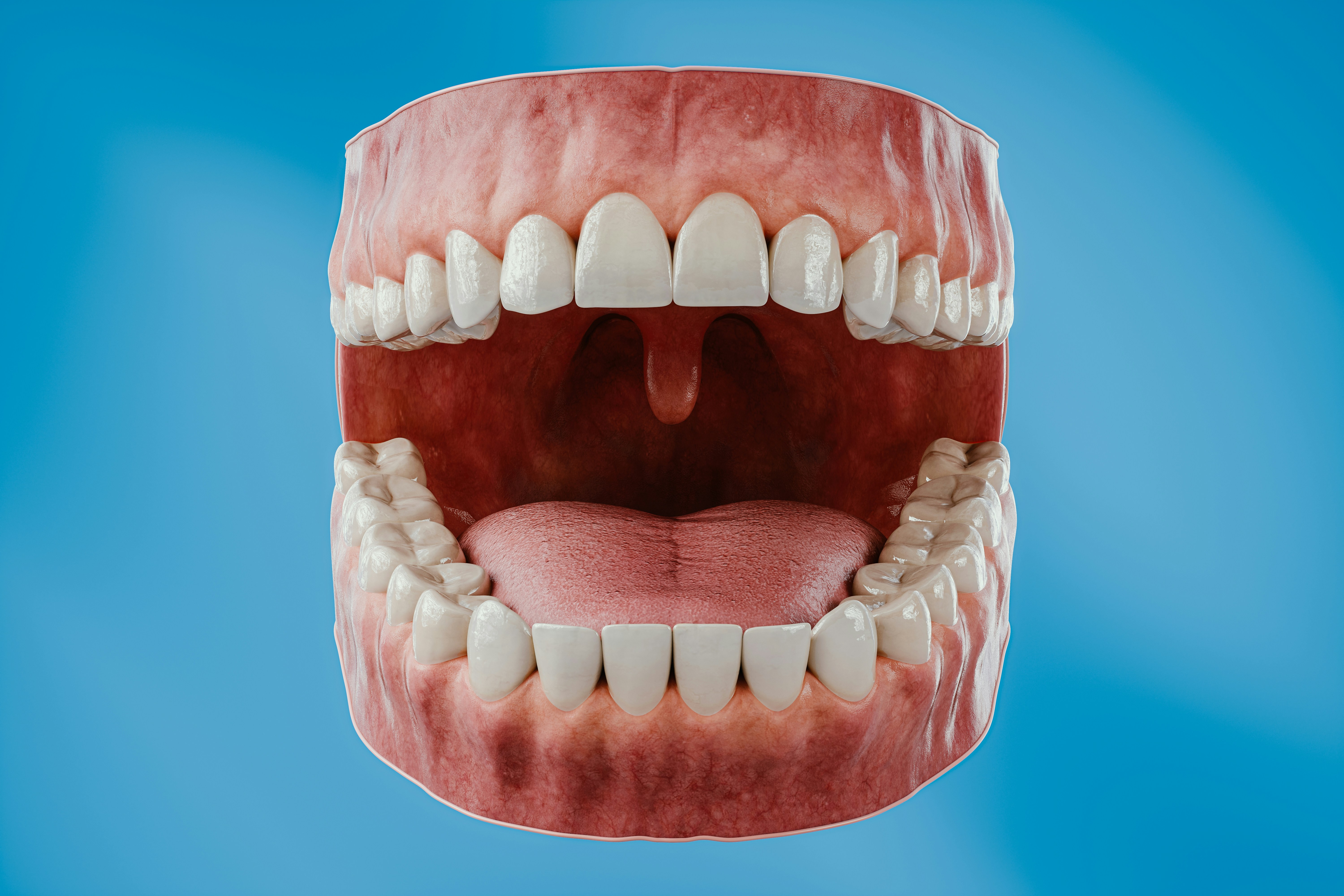 orthodontics reference frame 3