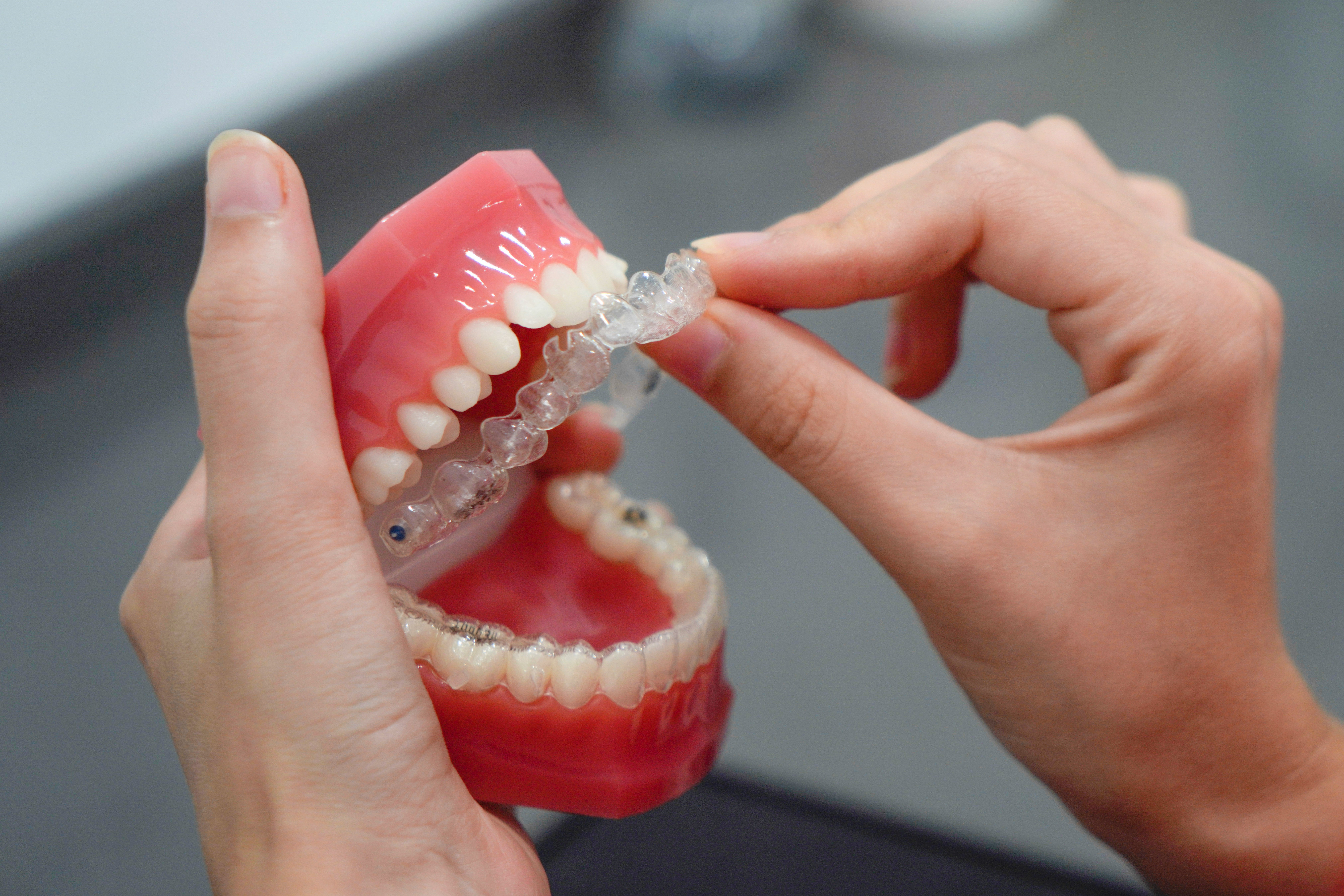 orthodontics reference frame 4