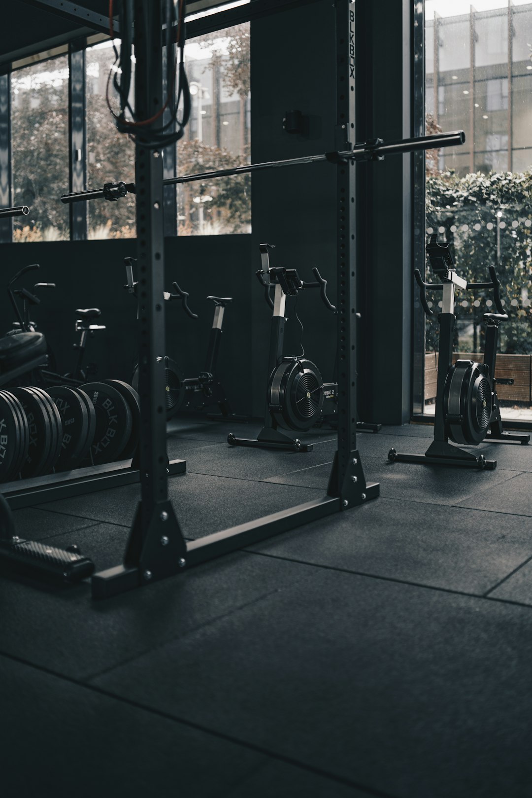 crossfit reference frame 2
