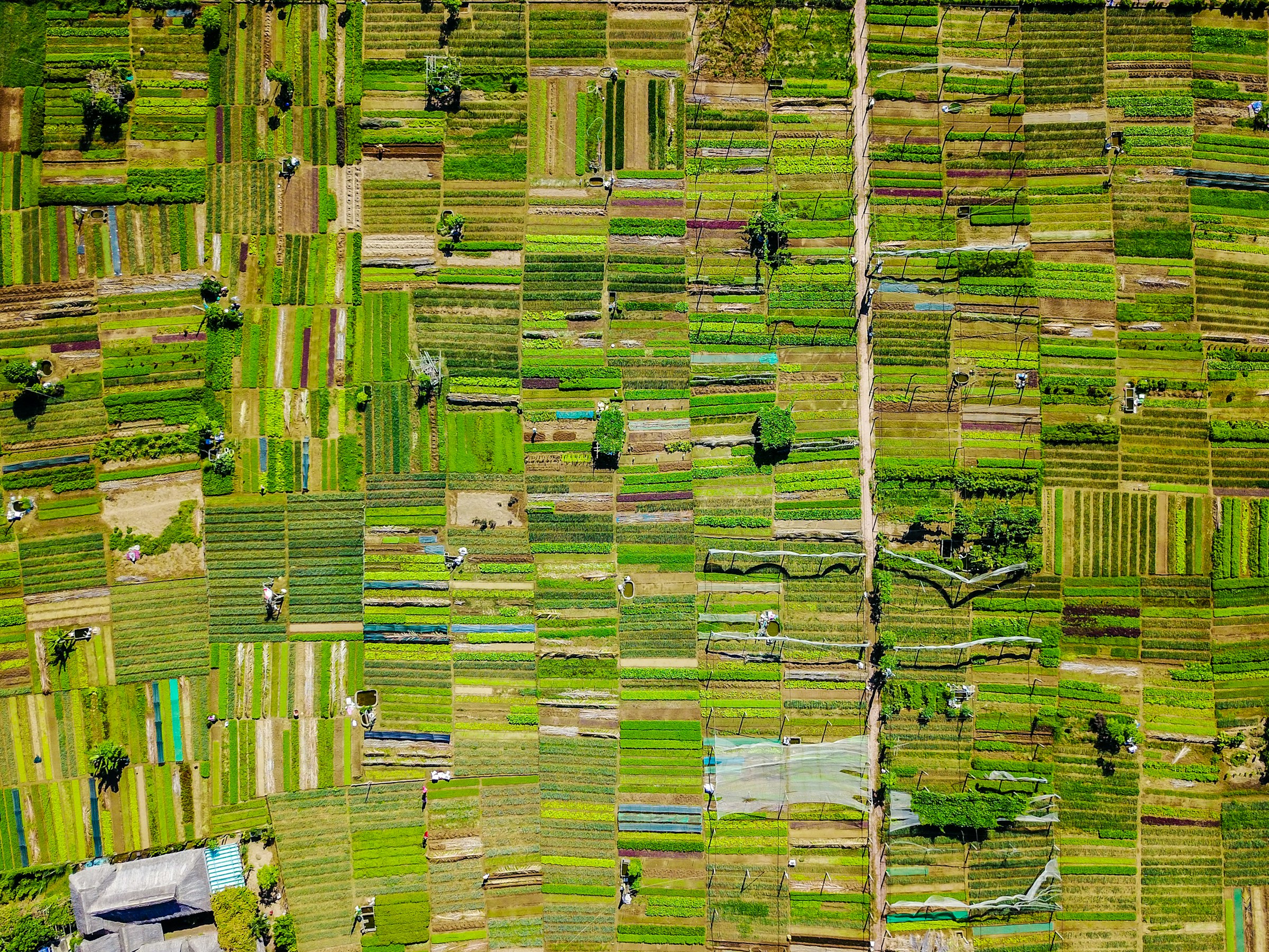 land reference frame 2