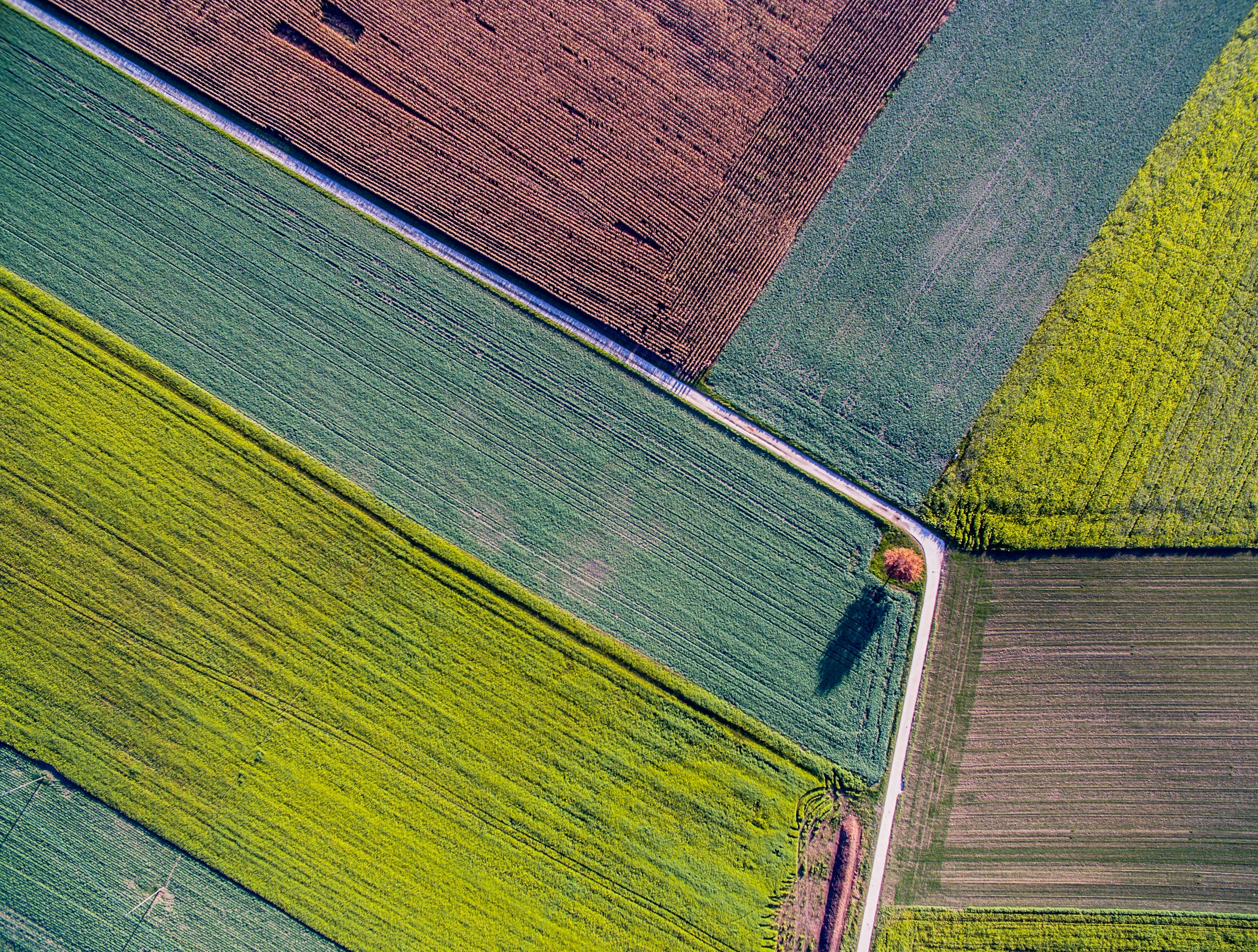 land reference frame 3